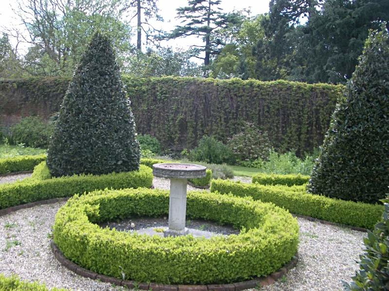 Buxus hedging in the walled garden