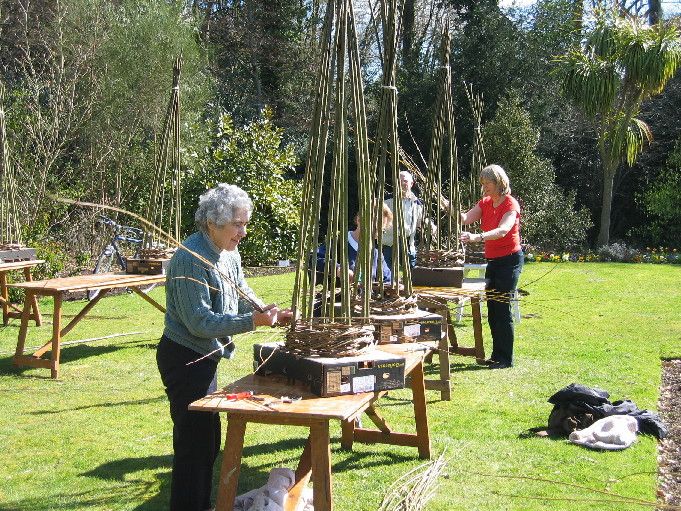 Willow weaving