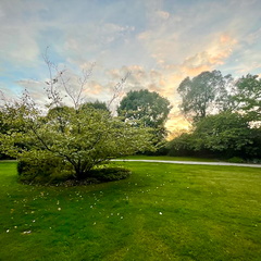 Dusk